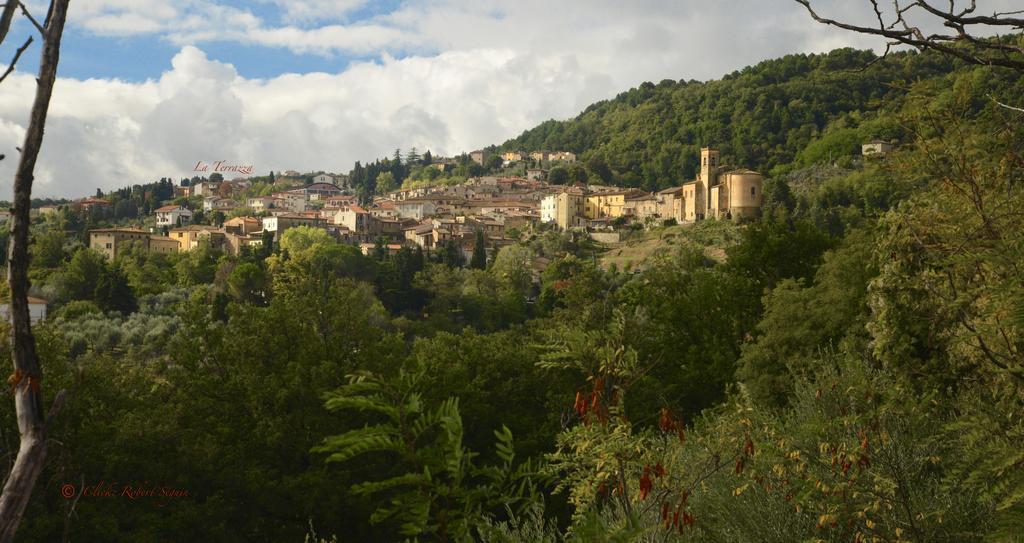 La Terrazza Βίλα Chianni Εξωτερικό φωτογραφία